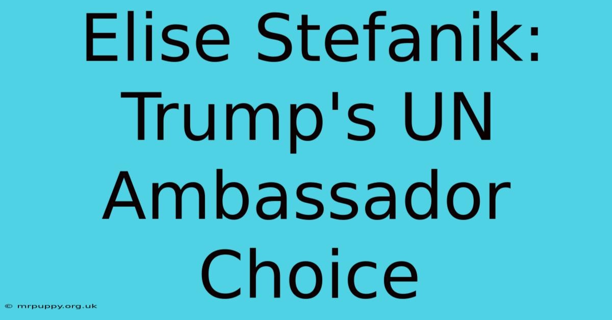 Elise Stefanik: Trump's UN Ambassador Choice 