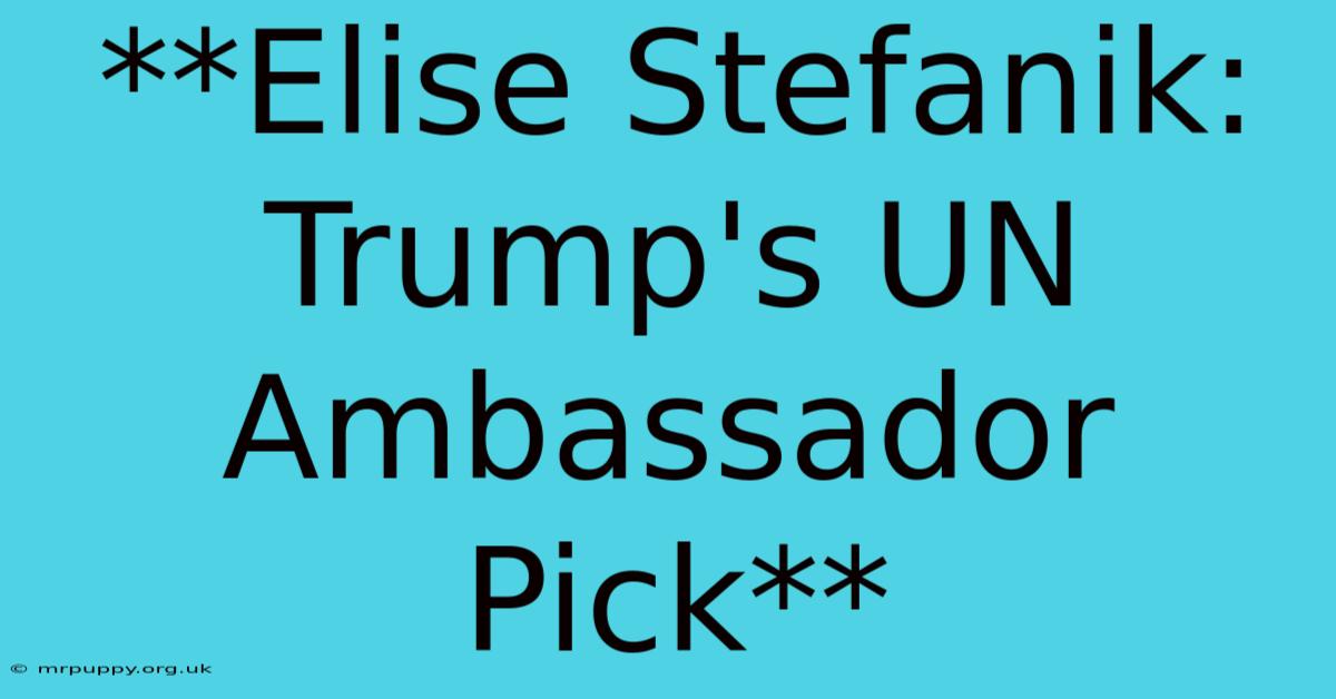 **Elise Stefanik: Trump's UN Ambassador Pick**