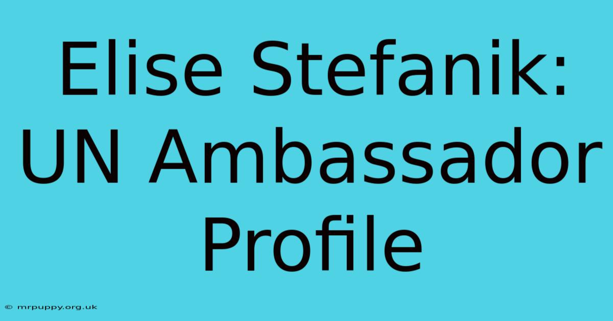 Elise Stefanik: UN Ambassador Profile 