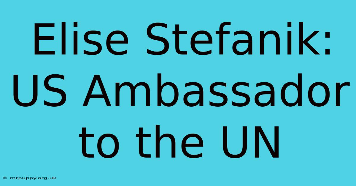 Elise Stefanik: US Ambassador To The UN