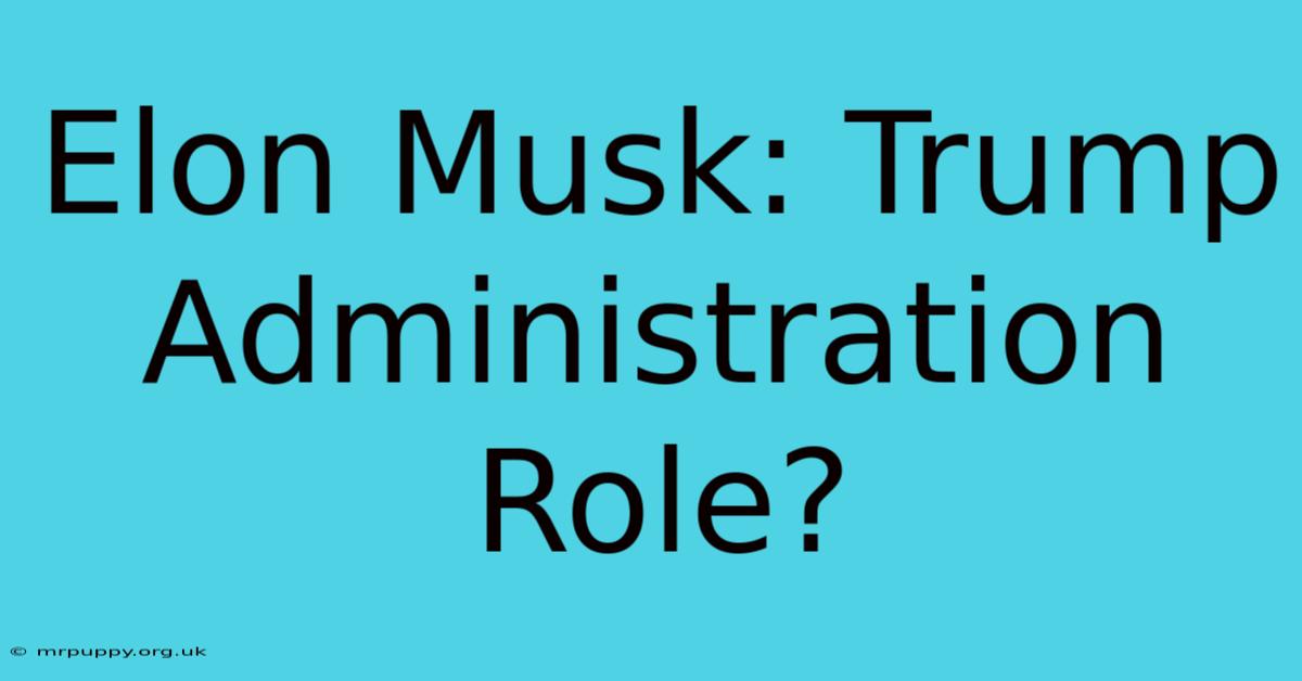 Elon Musk: Trump Administration Role?