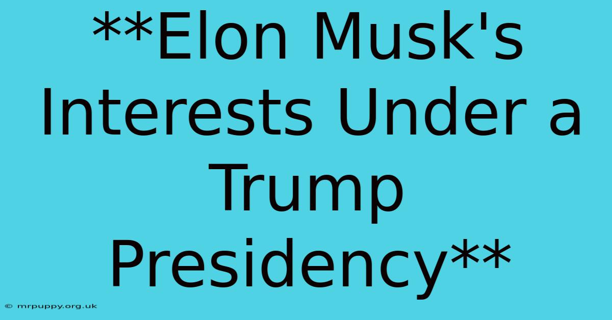 **Elon Musk's Interests Under A Trump Presidency**