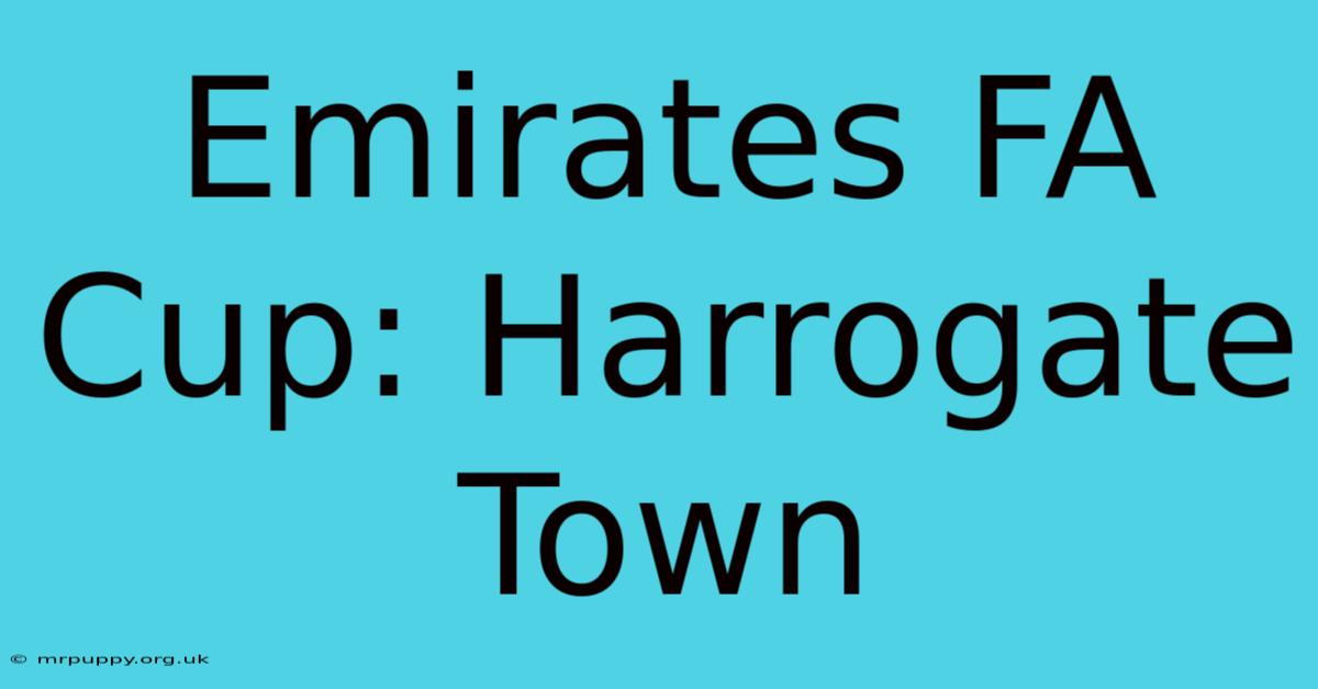 Emirates FA Cup: Harrogate Town