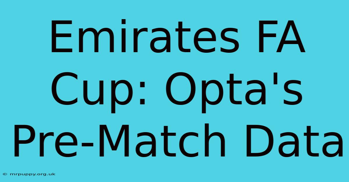 Emirates FA Cup: Opta's Pre-Match Data