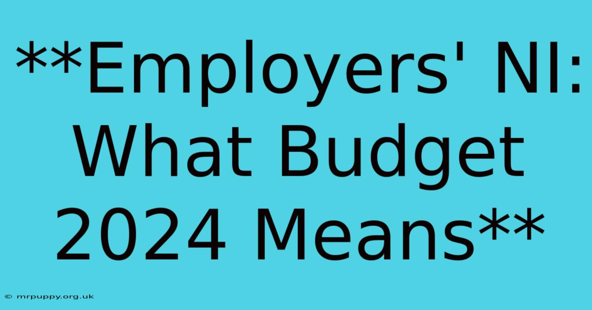 **Employers' NI: What Budget 2024 Means** 