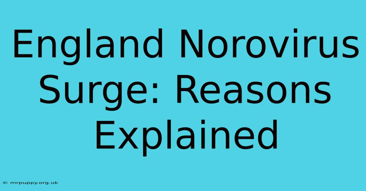 England Norovirus Surge: Reasons Explained