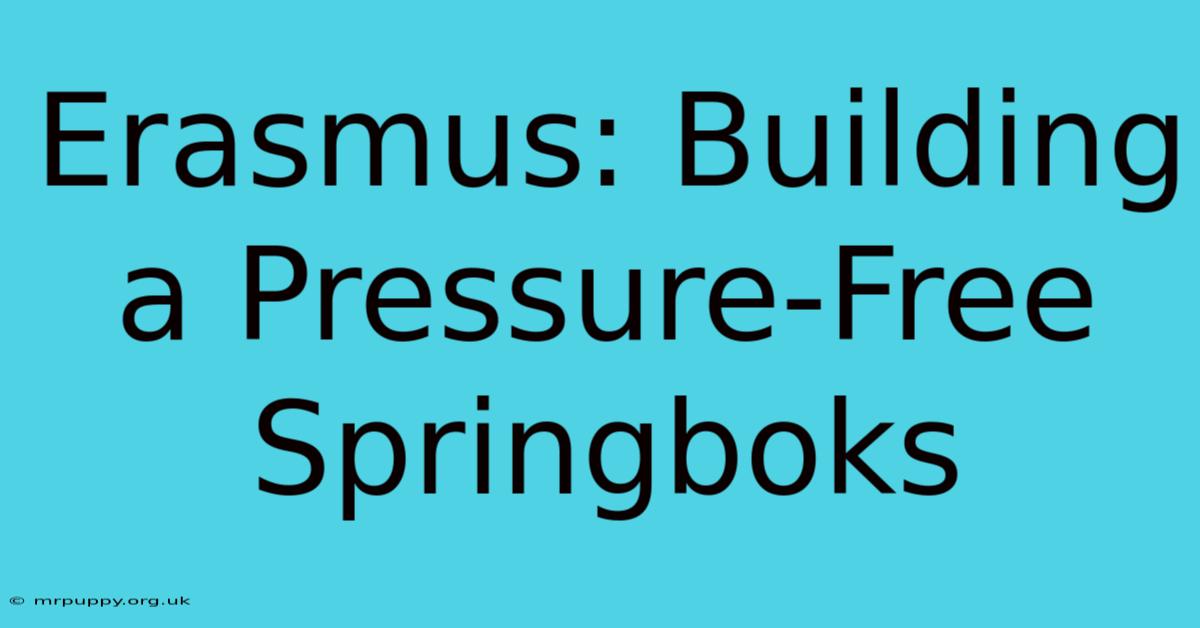 Erasmus: Building A Pressure-Free Springboks