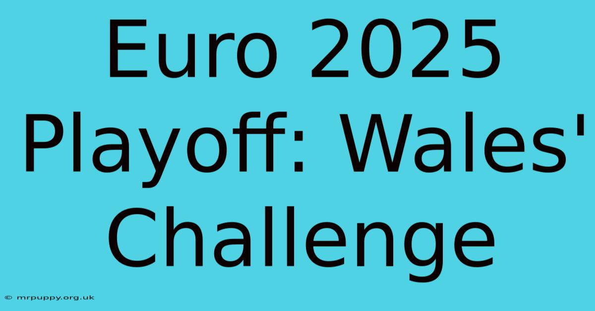 Euro 2025 Playoff: Wales' Challenge