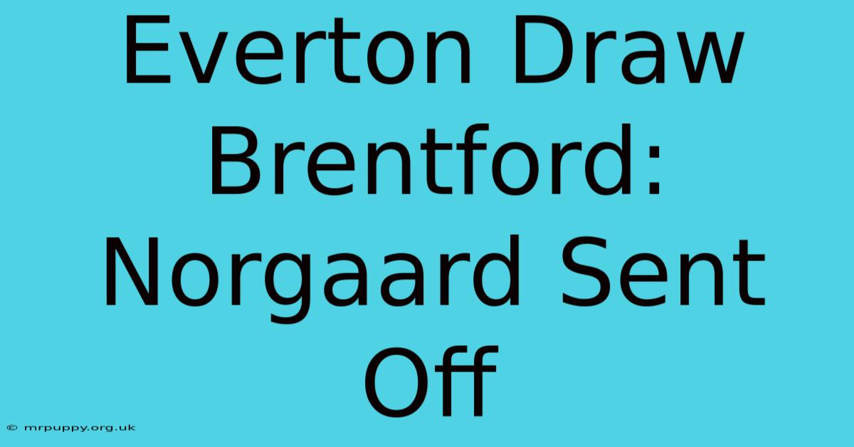 Everton Draw Brentford: Norgaard Sent Off