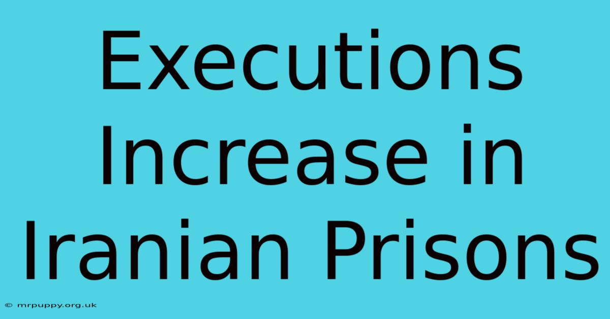 Executions Increase In Iranian Prisons 