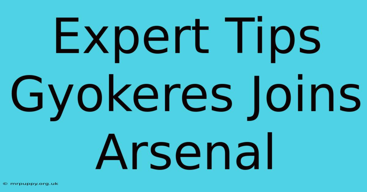 Expert Tips Gyokeres Joins Arsenal