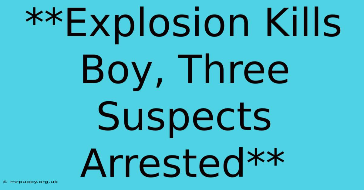 **Explosion Kills Boy, Three Suspects Arrested** 