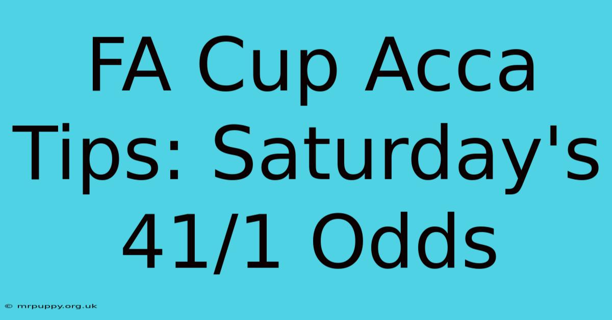 FA Cup Acca Tips: Saturday's 41/1 Odds