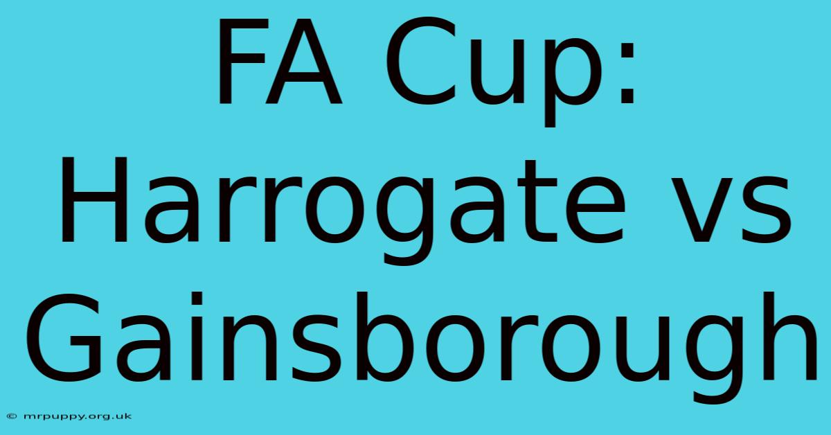 FA Cup: Harrogate Vs Gainsborough