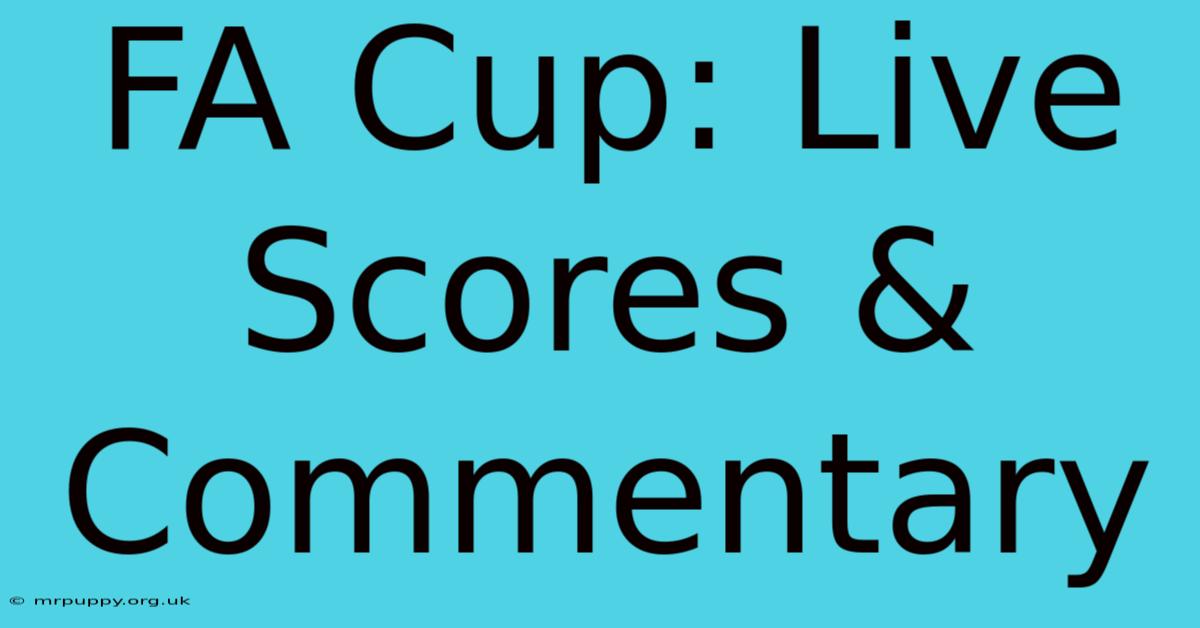 FA Cup: Live Scores & Commentary