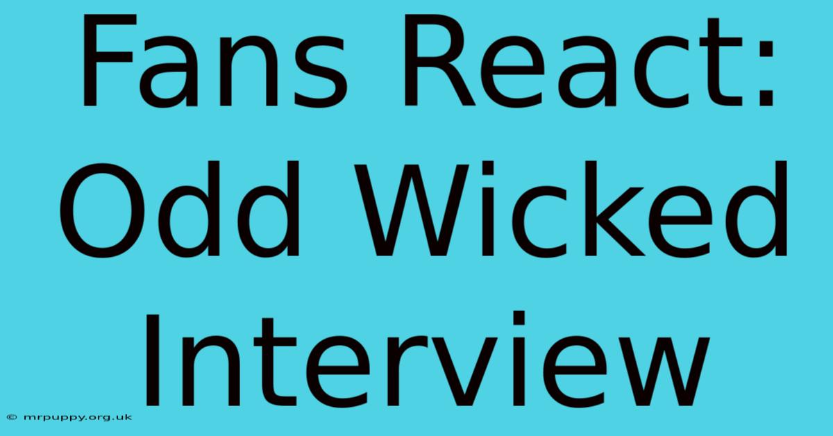 Fans React: Odd Wicked Interview