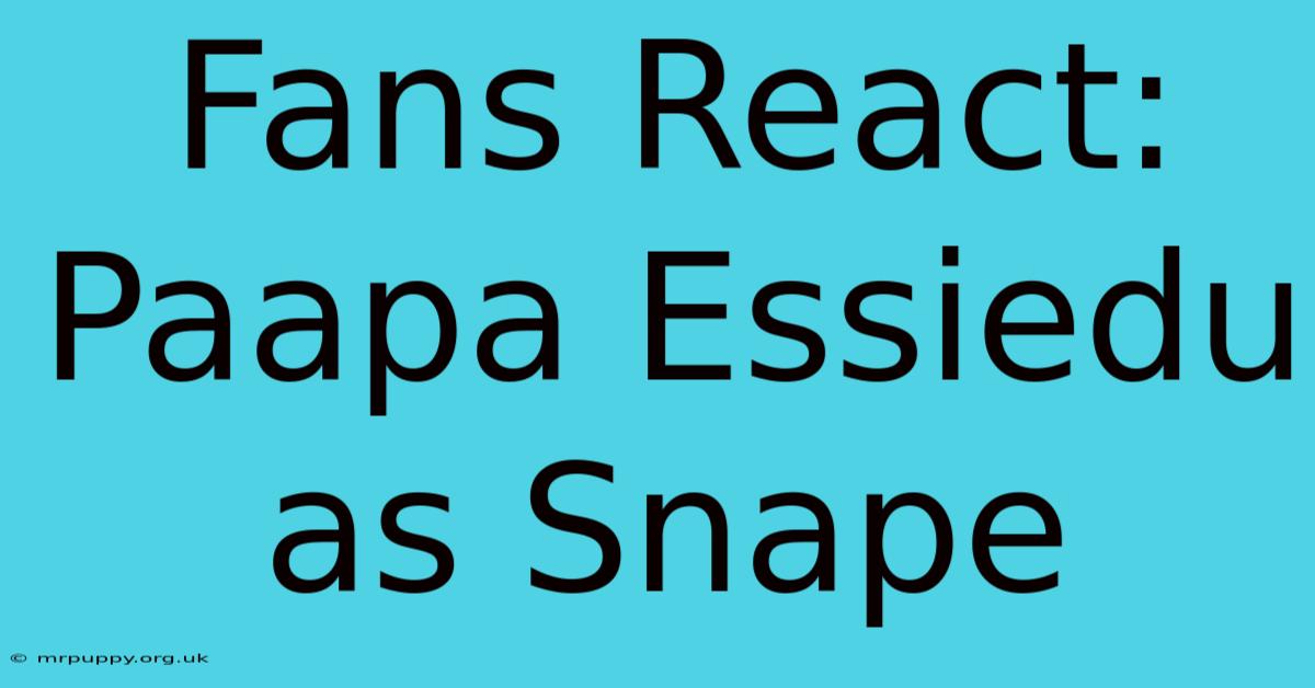 Fans React: Paapa Essiedu As Snape