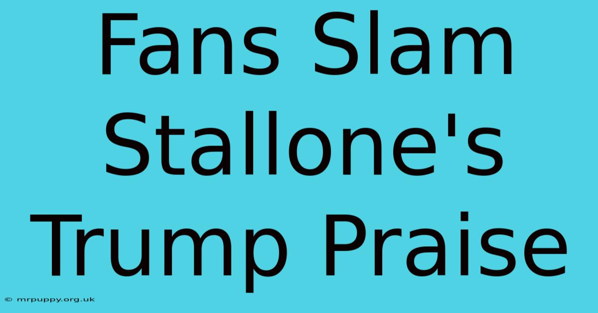 Fans Slam Stallone's Trump Praise