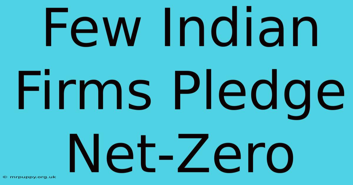 Few Indian Firms Pledge Net-Zero