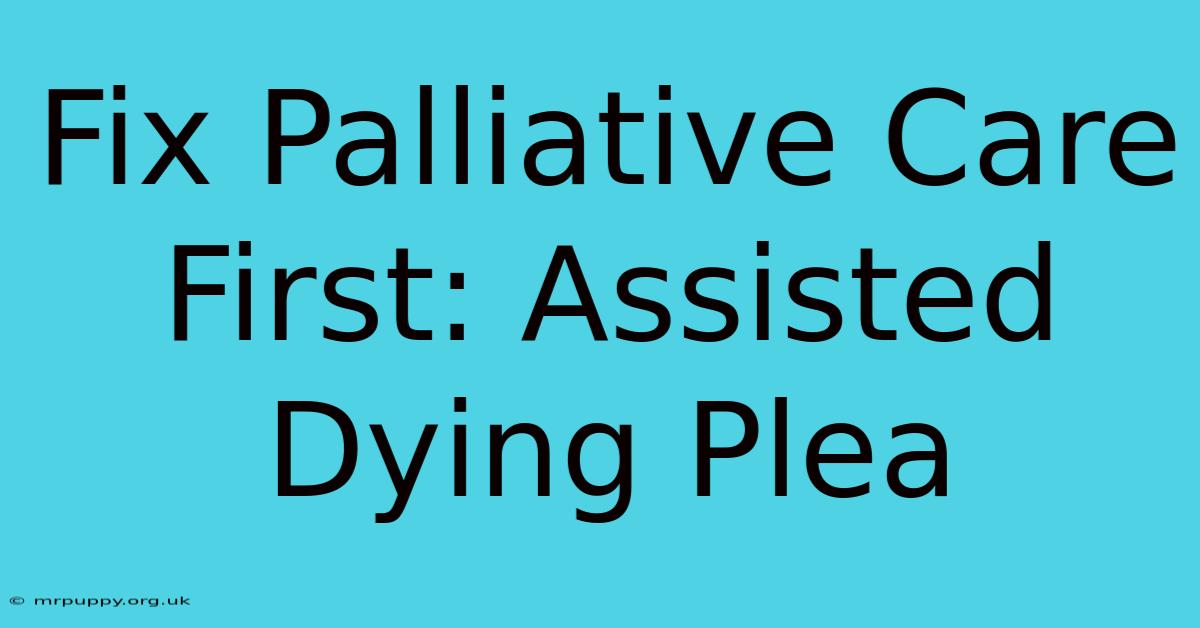 Fix Palliative Care First: Assisted Dying Plea