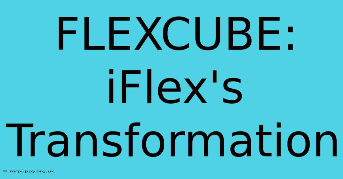 FLEXCUBE: IFlex's Transformation