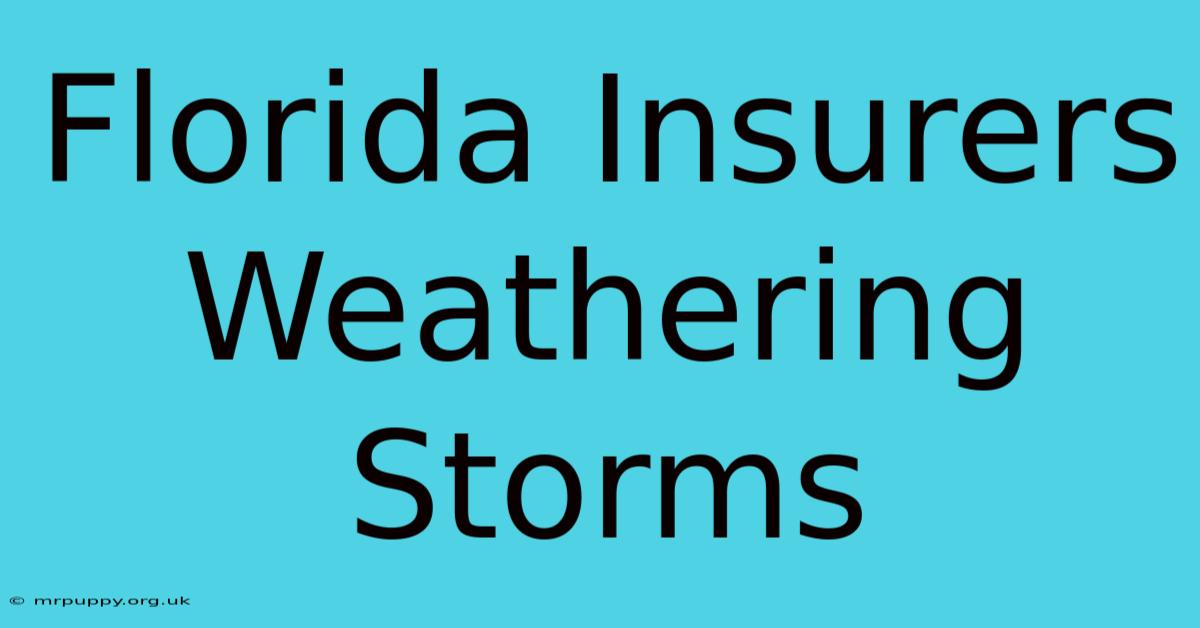 Florida Insurers Weathering Storms