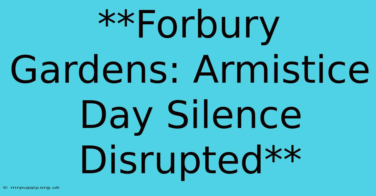 **Forbury Gardens: Armistice Day Silence Disrupted**