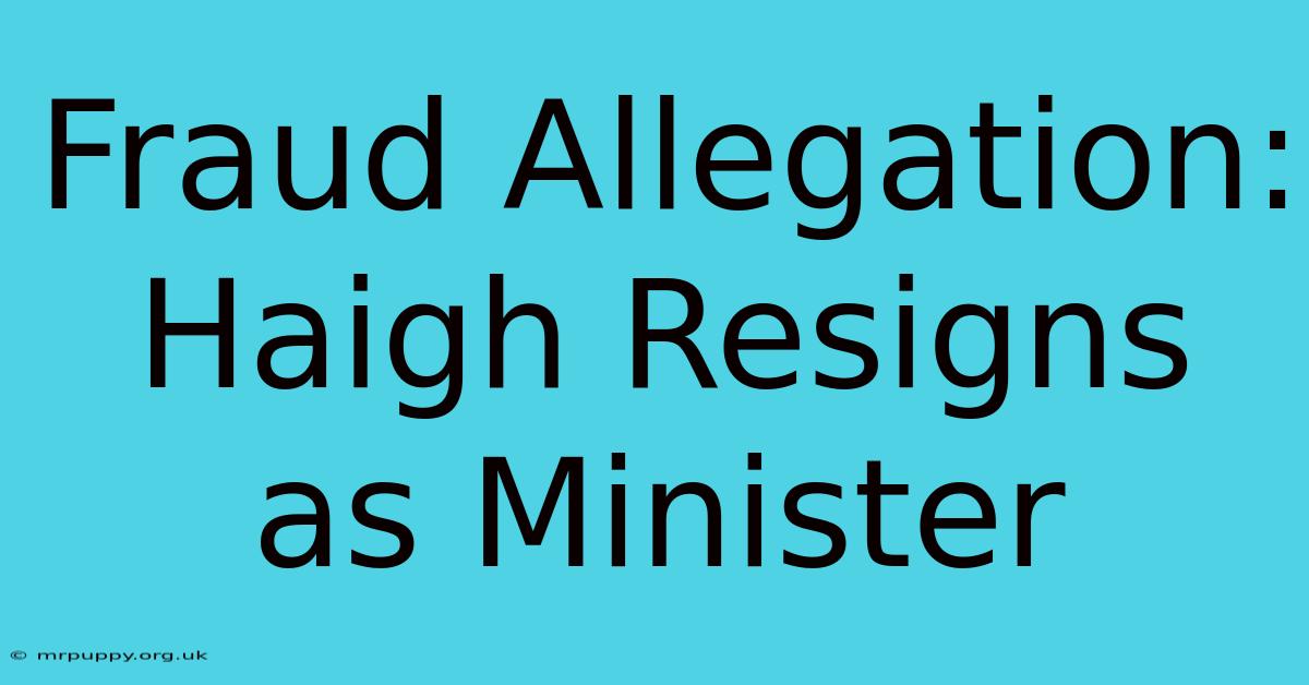 Fraud Allegation: Haigh Resigns As Minister