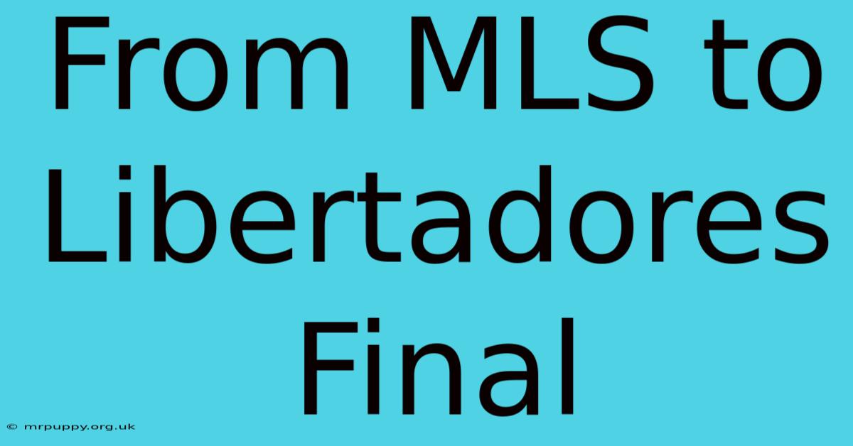 From MLS To Libertadores Final