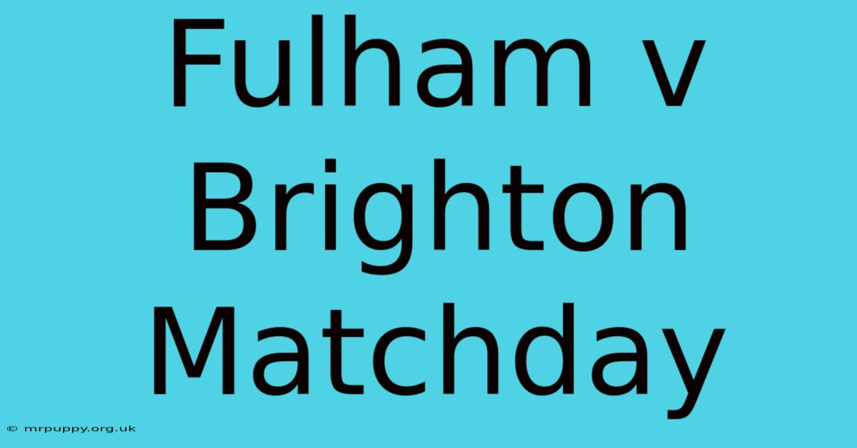 Fulham V Brighton Matchday