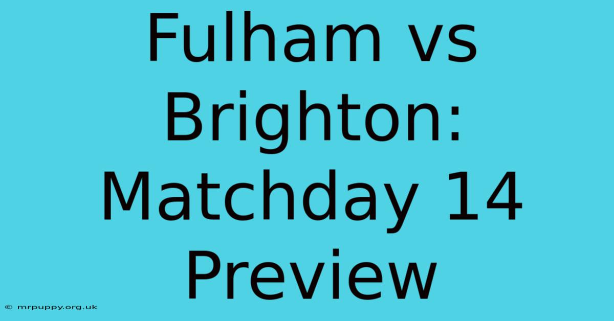 Fulham Vs Brighton: Matchday 14 Preview