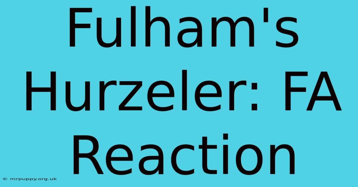 Fulham's Hurzeler: FA Reaction