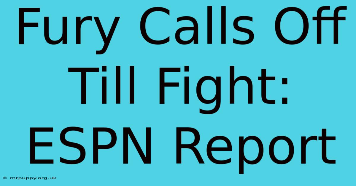 Fury Calls Off Till Fight: ESPN Report