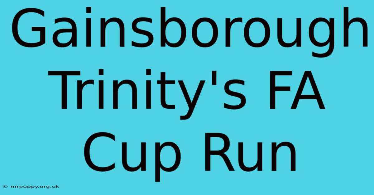 Gainsborough Trinity's FA Cup Run