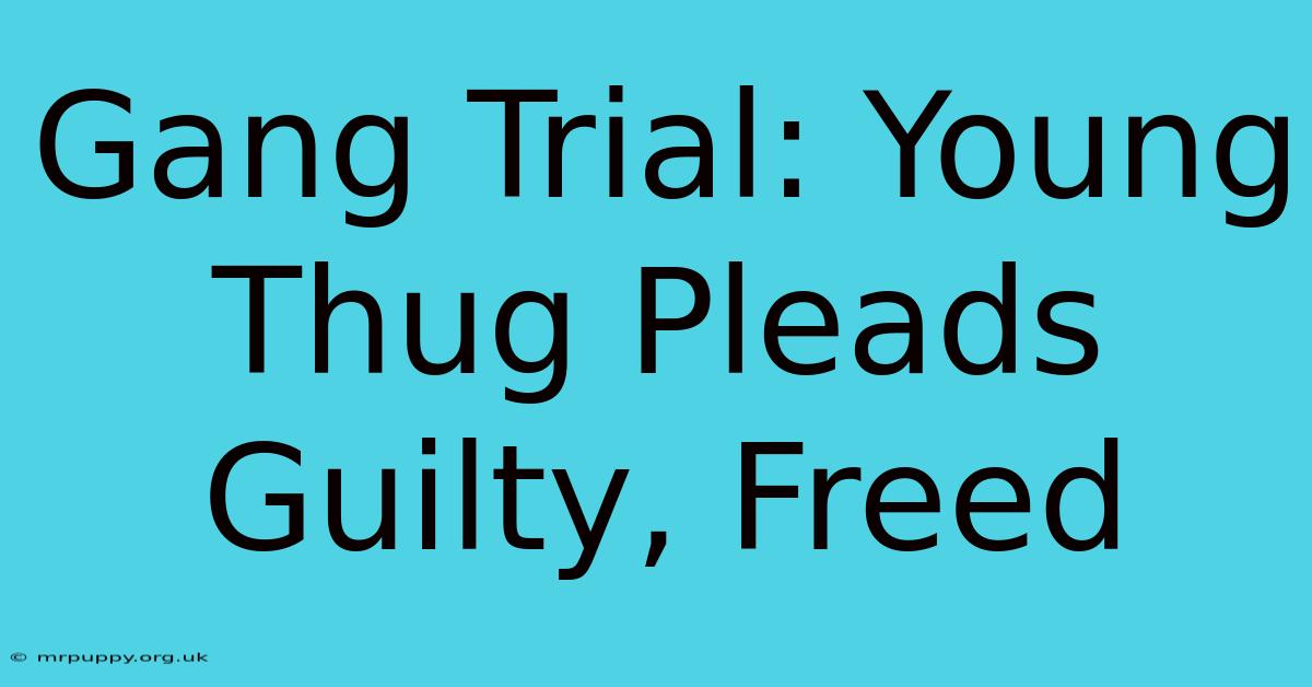 Gang Trial: Young Thug Pleads Guilty, Freed