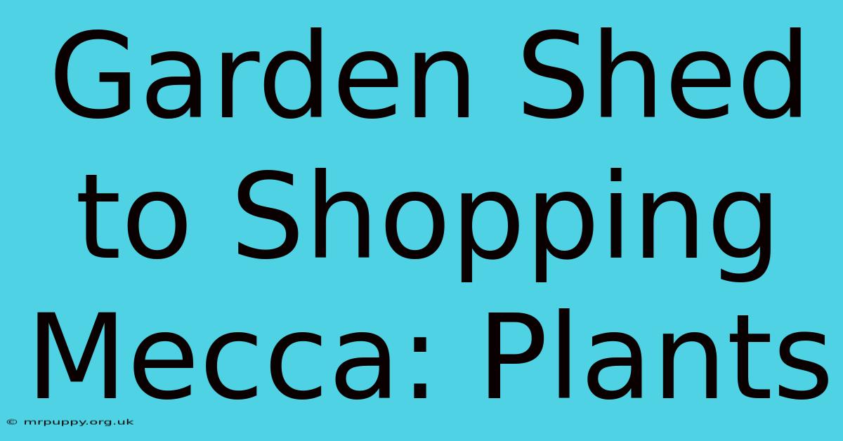 Garden Shed To Shopping Mecca: Plants