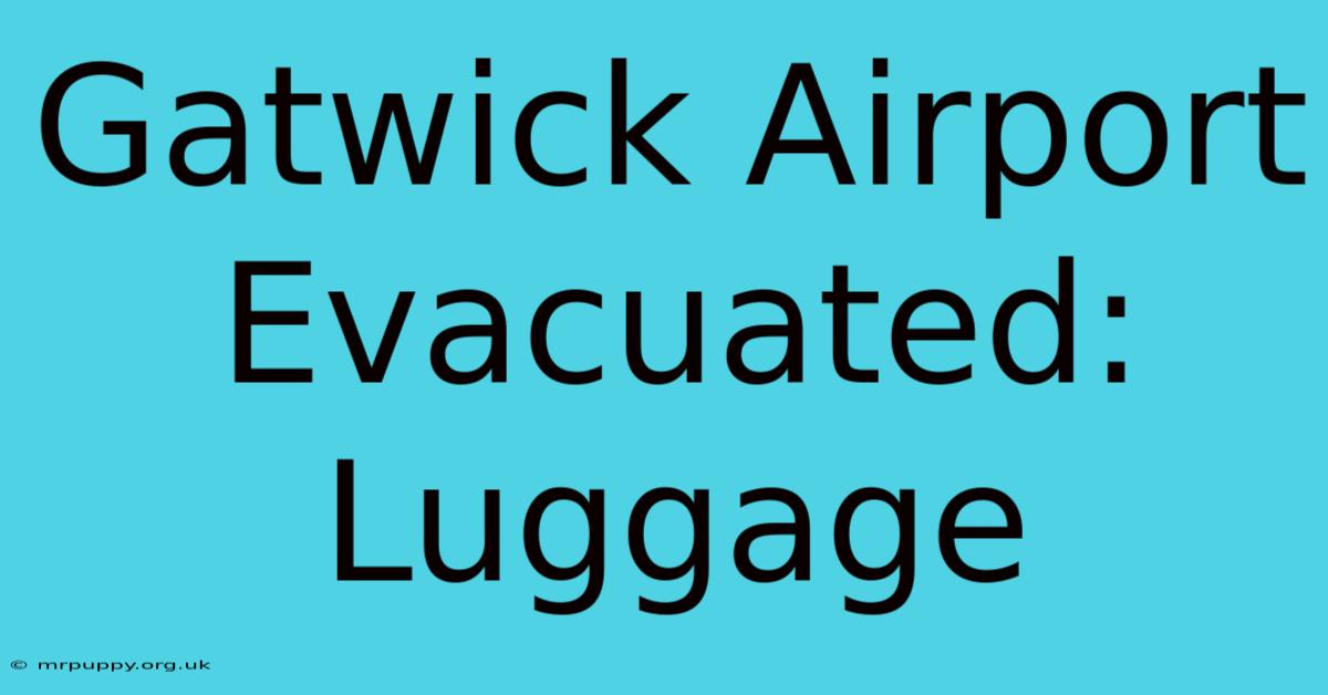 Gatwick Airport Evacuated: Luggage