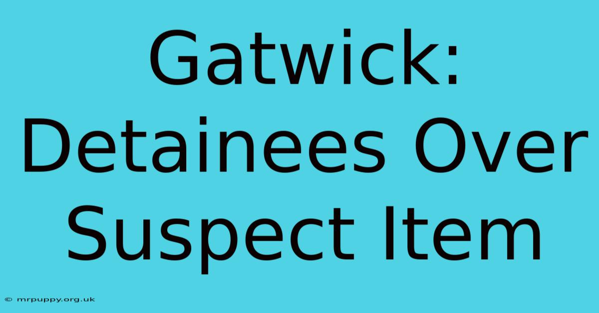 Gatwick: Detainees Over Suspect Item