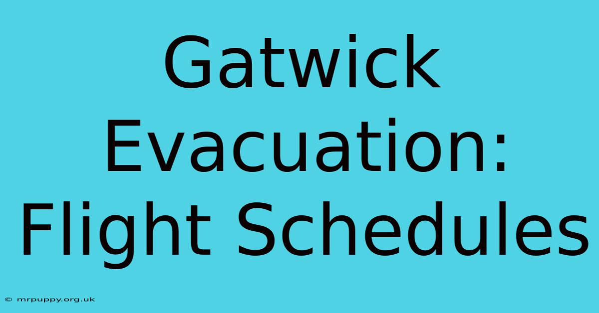 Gatwick Evacuation: Flight Schedules