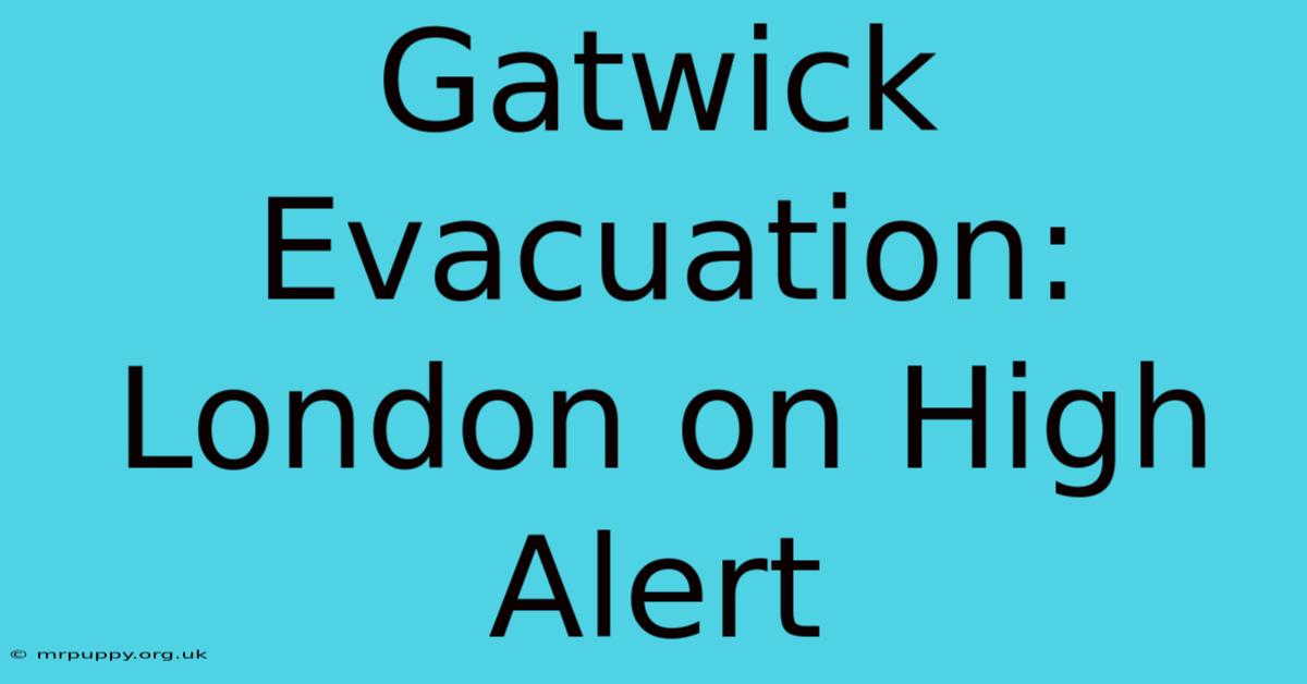 Gatwick Evacuation: London On High Alert