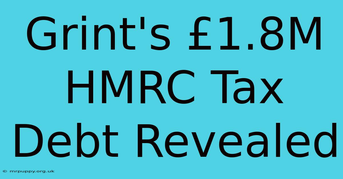 Grint's £1.8M HMRC Tax Debt Revealed