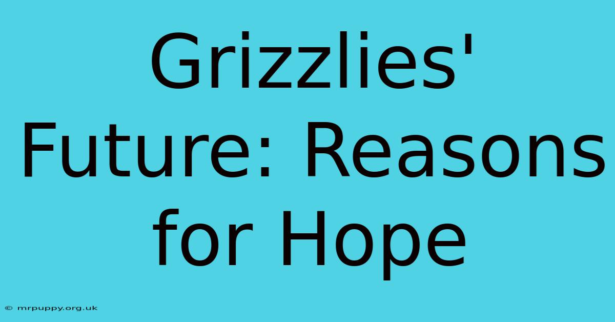 Grizzlies' Future: Reasons For Hope 