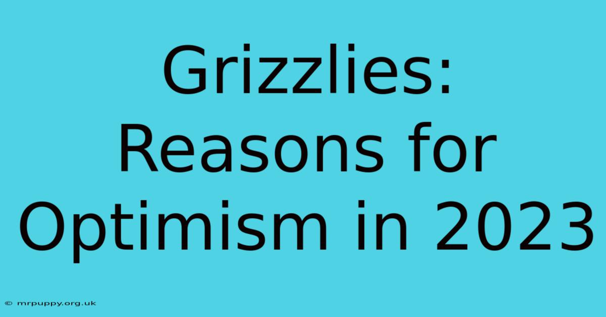 Grizzlies: Reasons For Optimism In 2023