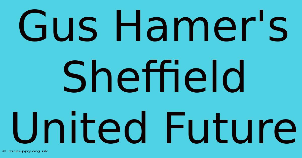 Gus Hamer's Sheffield United Future