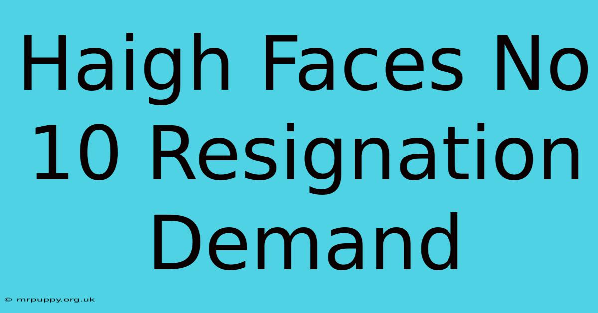 Haigh Faces No 10 Resignation Demand