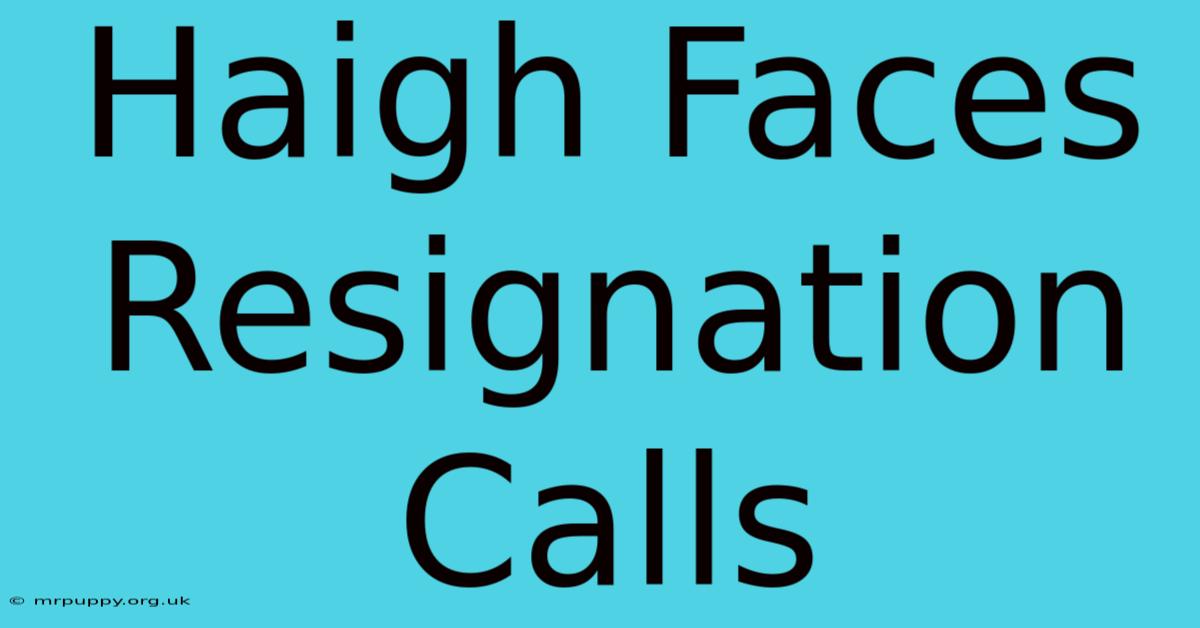 Haigh Faces Resignation Calls