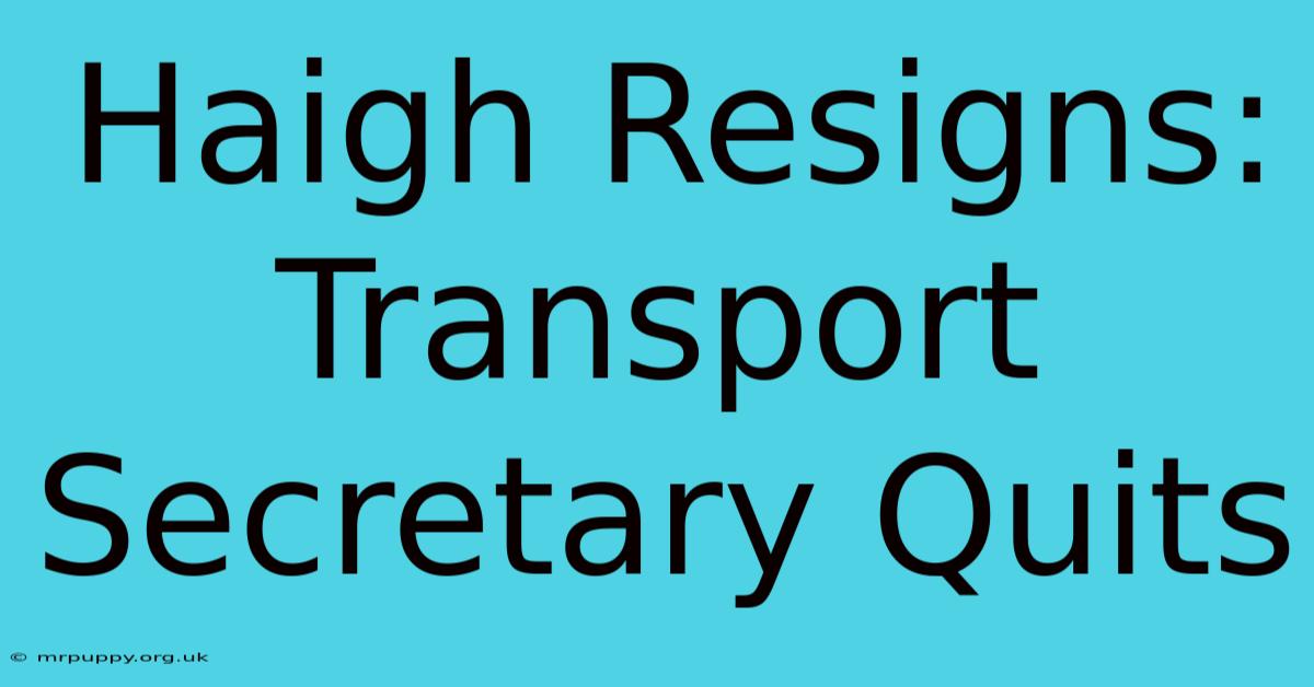 Haigh Resigns: Transport Secretary Quits