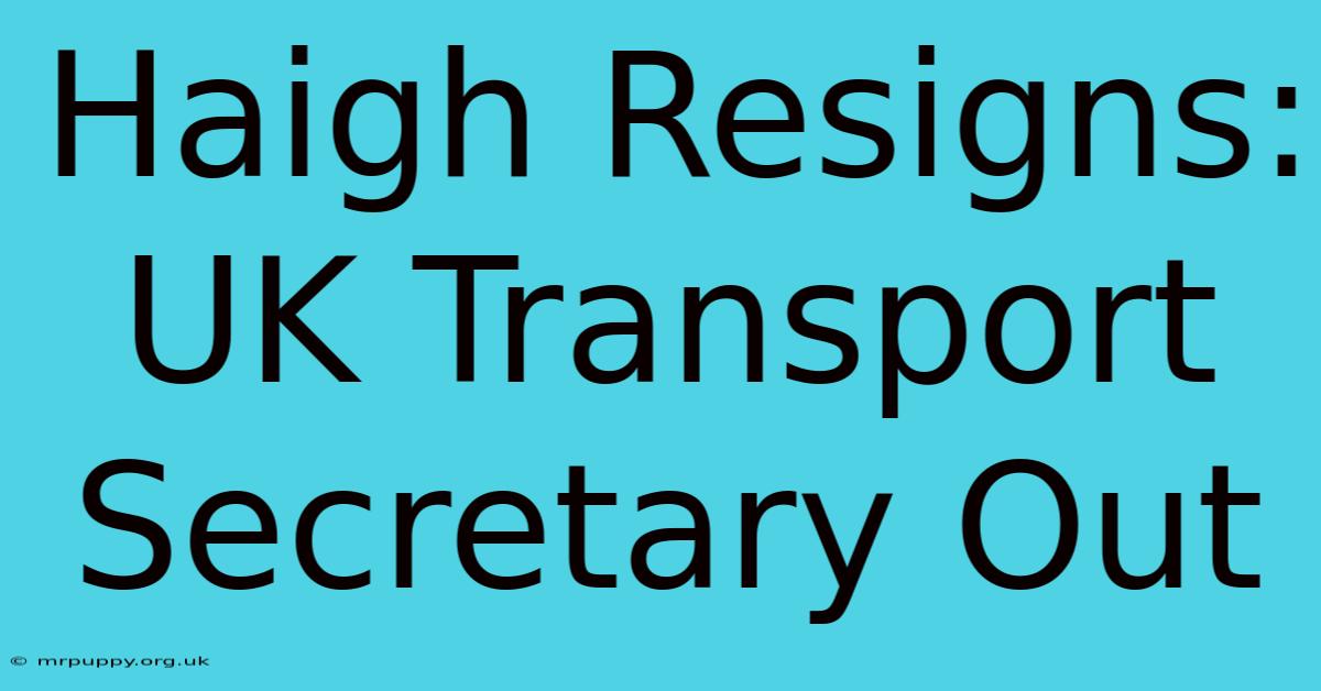 Haigh Resigns: UK Transport Secretary Out