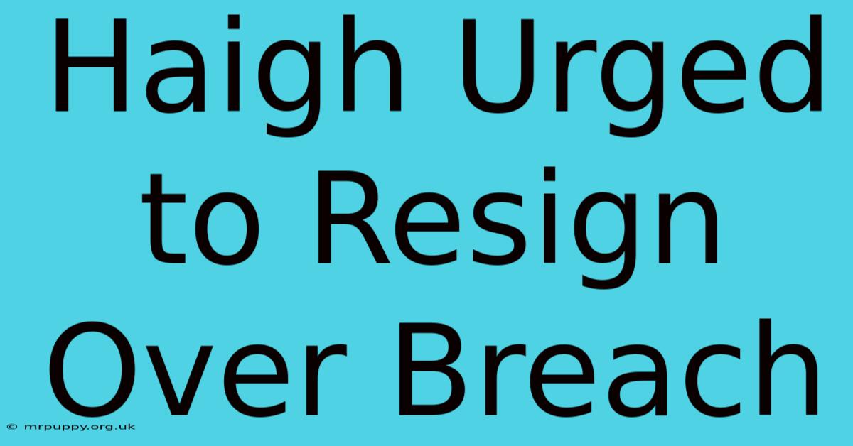 Haigh Urged To Resign Over Breach