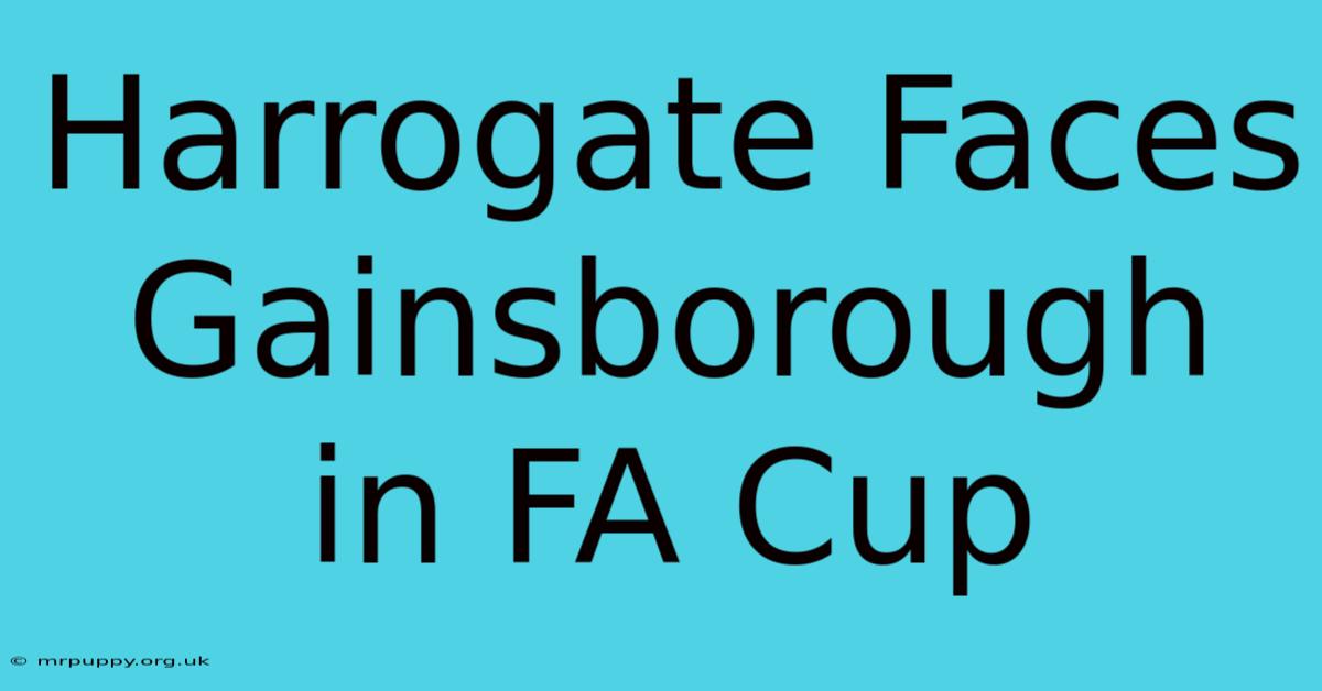 Harrogate Faces Gainsborough In FA Cup